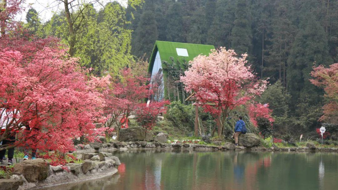 新春走基层丨街坊剧场传颂老兵好家风